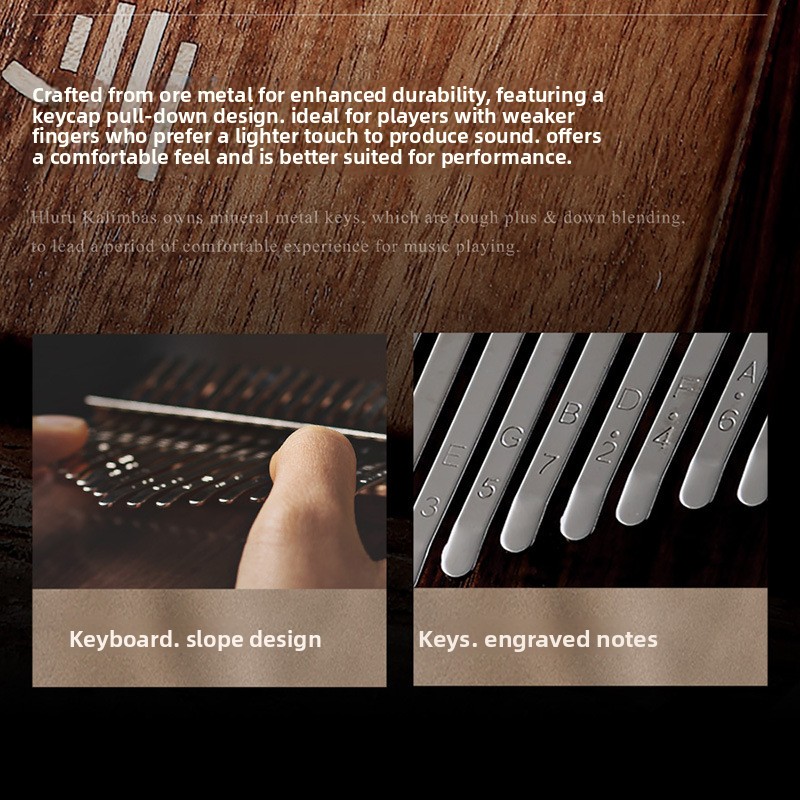 Class B Bottom Perforated Thum - Musical Instrument Band ulasan dan harga