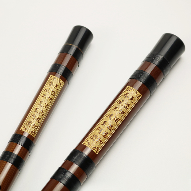 Professional Playing Bitter Ba - Musical Instrument Ending In A ulasan dan harga
