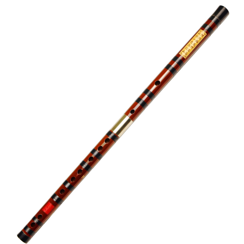 Professional Playing Bitter Ba - Musical Instrument Ending In A ulasan dan harga