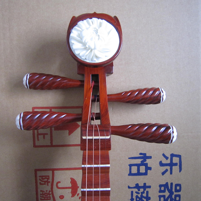 Professional Rosewood Pipa, Hi - Musical Instrument Ending In A ulasan dan harga